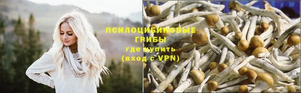 mdpv Навашино