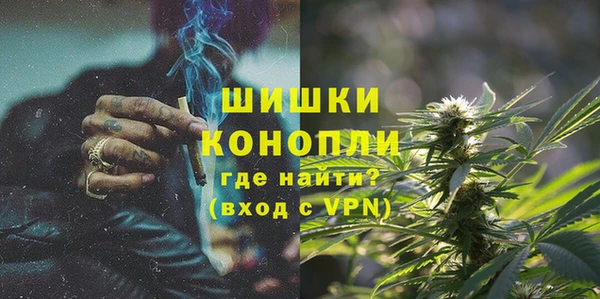 молекула духа Надым