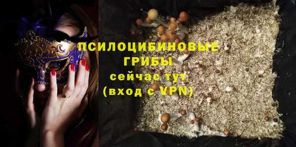 молекула духа Надым